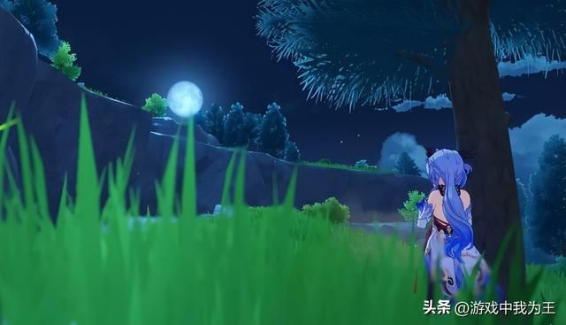 原神：任务太多太长，须弥地图逛得头晕眼花！
