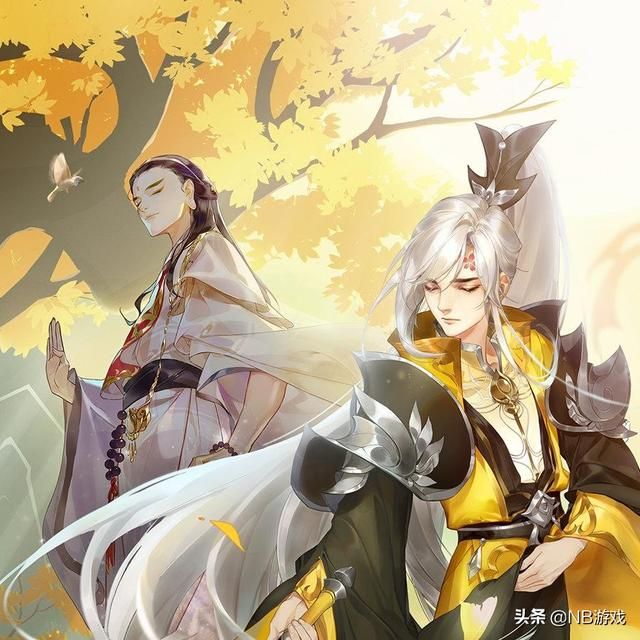 主播成长之道：PDD与呆妹儿 的成功经验值得借鉴