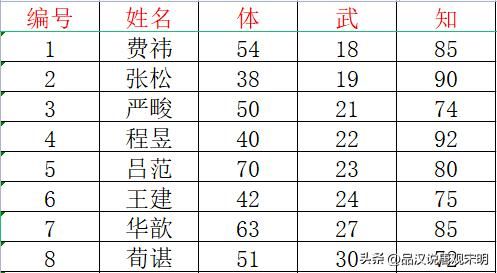 霸王大陆武将实力解析：探秘吕布的绝世武力，揭秘费祎的脆弱身躯