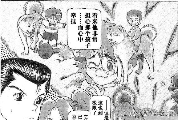 想象不到的恐怖：幽游白书战力揭秘