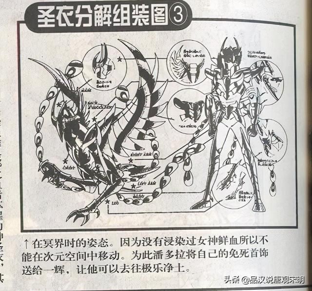 星矢：圣衣进化之路