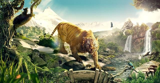 《为何《战狼2》票房虽高却位列世界票房TOP50（二）？》