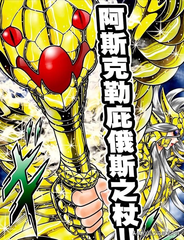 进入前十的圣斗士？排位看谁厉害！