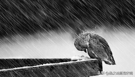 中国青年热衷于大话西游：悟空成爱情圣经
