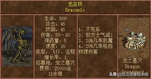 神秘身份揭示：龙巫妖竟排名飞龙之后，众龙皆震惊！