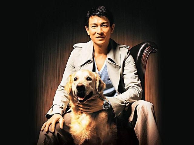非洲也有刘德华长相的人吗？