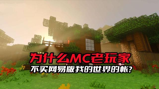 老玩家宁愿玩国际服也不玩《我的世界》国服的原因