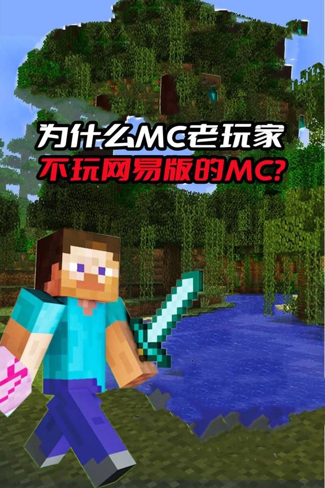 老玩家宁愿玩国际服也不玩《我的世界》国服的原因