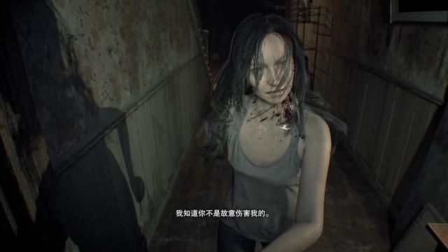 《生化危机8》克里斯暗示盒饭存在