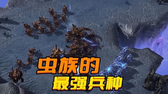 《不用科技树，低造价充场面! 星际争霸中最强虫族兵种》