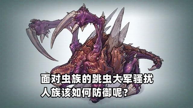 人族应如何抵御虫族的跳虫大军骚扰？