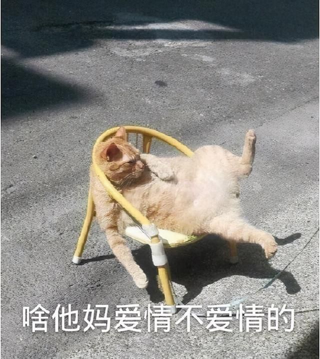 《千古玦尘》：情景戏剧般的格局引发观众愤怒，是否缺乏侠义情怀？