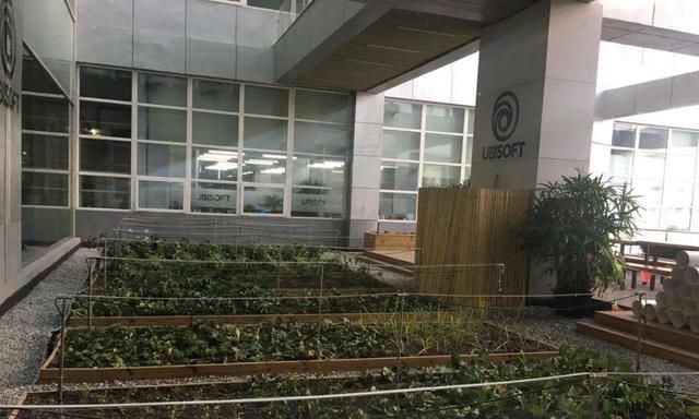 玩家们给游戏公司取的外号：探索土豆家族的创业之路！