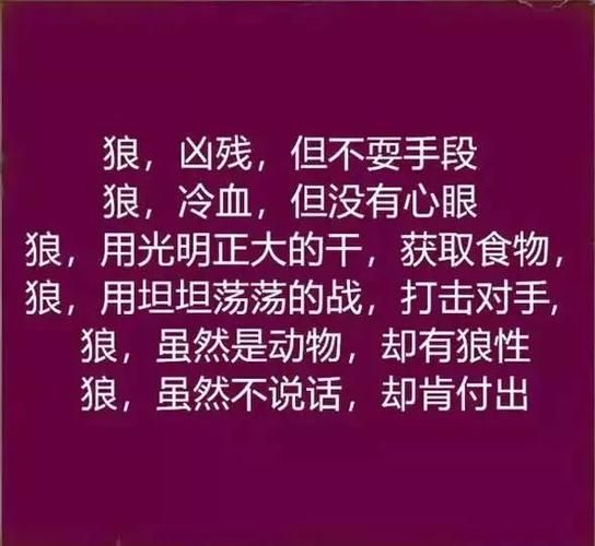 以狼为皮攻略到底该先做主线还是先做支线