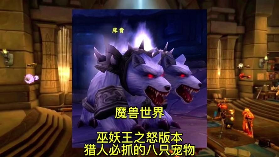 魔兽世界猎人稀有宠物大全稀有宠物大全助你一臂之力