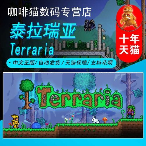 泰拉瑞亚ip联机教程如何输入IP地址连接