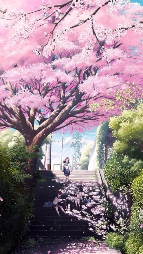 樱花动漫好玩吗有什么缺点吗