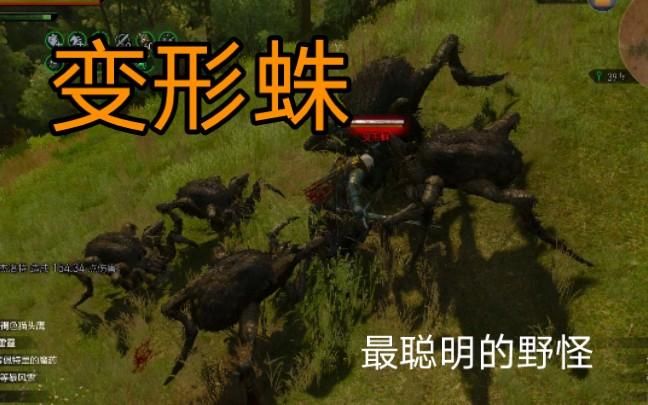 巫师3变形蛛怎么才能彻底解决它们