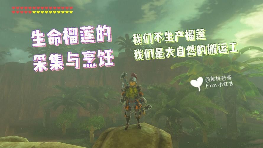塞尔达传说榴莲哪里刷生命榴莲怎么刷