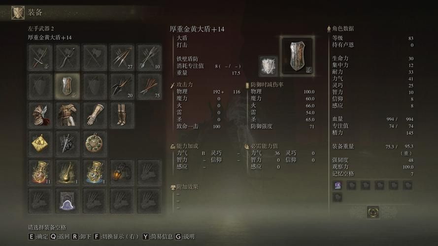 艾尔登法环大盾排名带你体验最硬核的防御