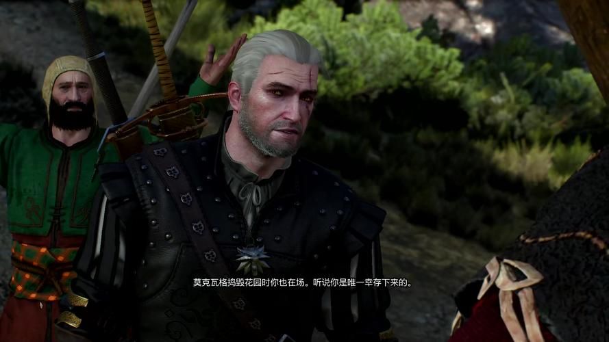 狼皮为衣巫师3完美结局大揭秘