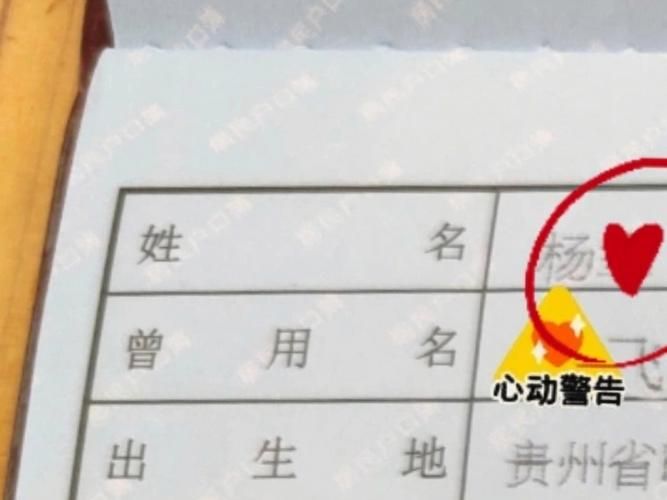 ssw改名成什么了还能像以前一样强吗