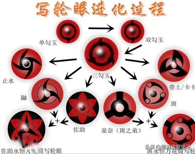 写轮眼直巴和曲巴的区别哪个更适合战斗