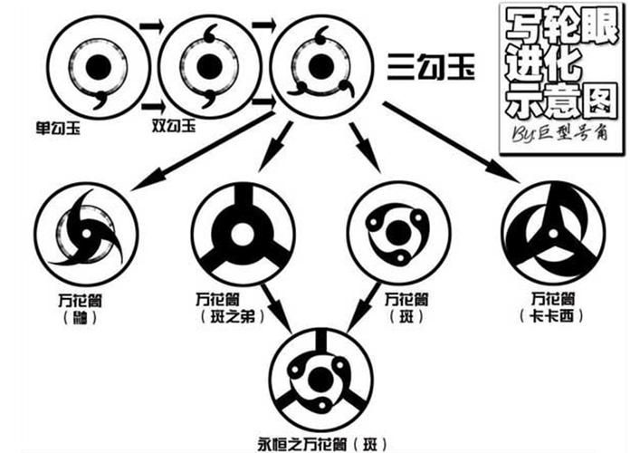 写轮眼直巴和曲巴的区别哪个更适合战斗