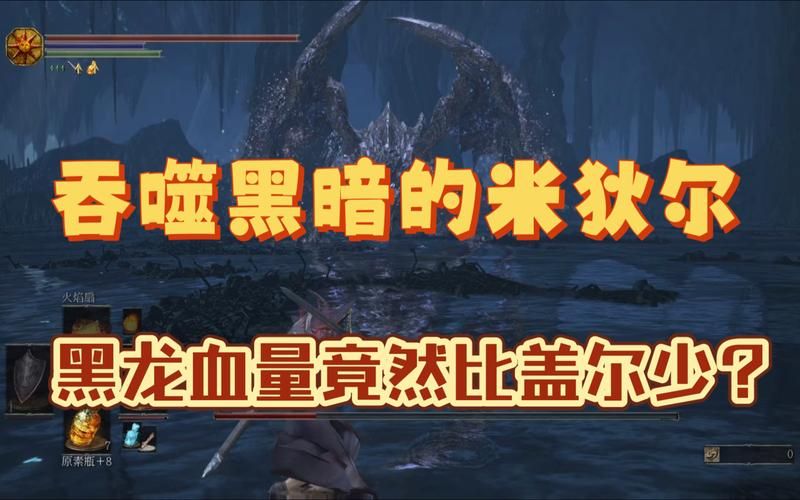 黑魂3环印城黑龙隐藏门环印城有几个隐藏门