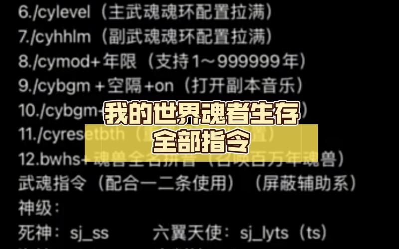 生存指令  指令输入有什么要注意的