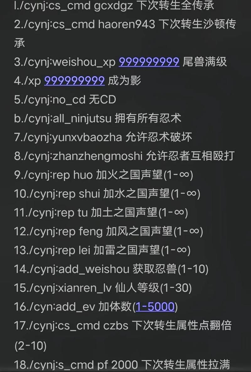 生存指令  指令输入有什么要注意的