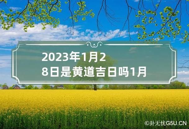 2023年1月28日蚂蚁庄园答案最新电影院墙壁为什么设计成那样