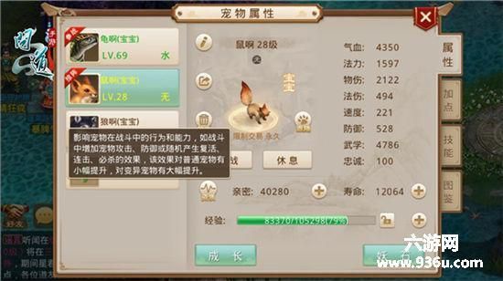 问道宠物亲密度怎么刷最快提升方法是什么