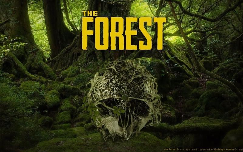 the forest攻略  来一起探索吧
