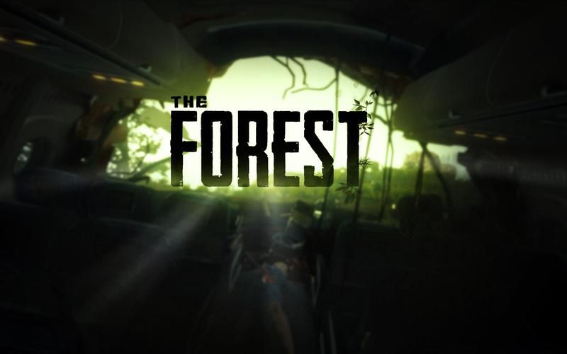 the forest攻略  来一起探索吧
