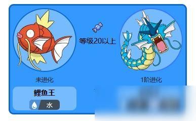 鲤鱼王多少级进化它真的可以从最弱变成最强吗