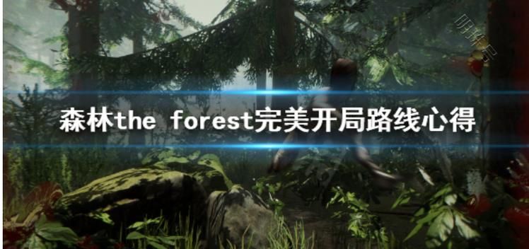 森林攻略如何才能通关
