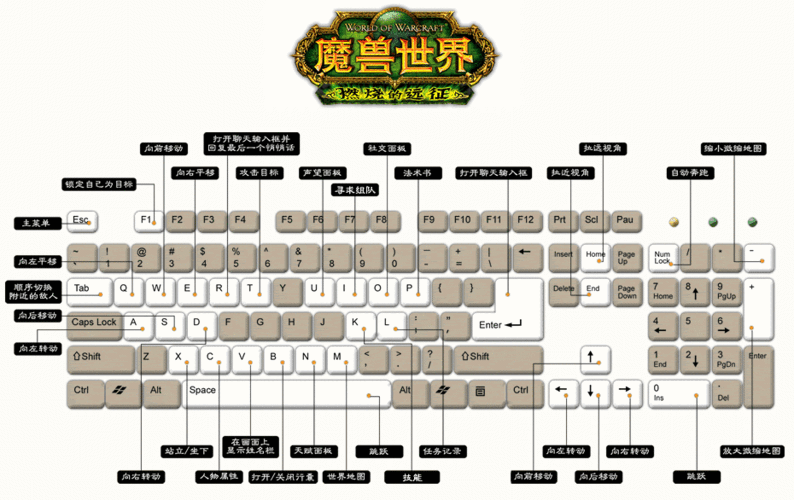 魔兽世界版本顺序  你都体验过哪些版本