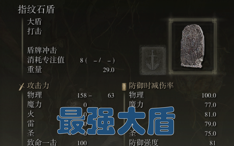 艾尔登法环大盾推荐哪个大盾最适合新手入门