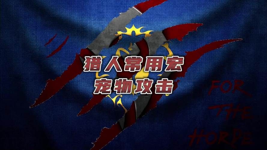 宠物攻击宏命令会影响游戏平衡吗？会封号吗？