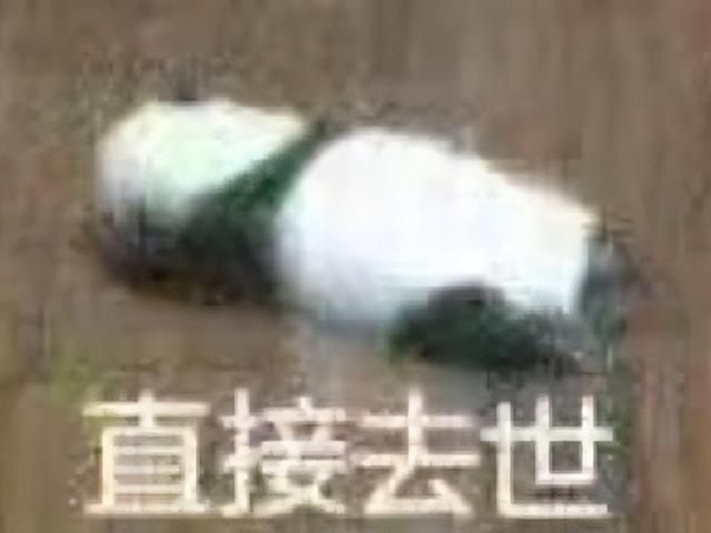 B站又一游戏凉凉，空战版原神《斯露德》停运，网友：被大V给坑了
