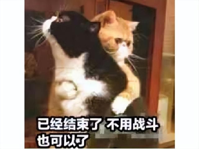 公测前一个月游戏被关停，因为补偿太丰厚，剑网三玩家趁机收割