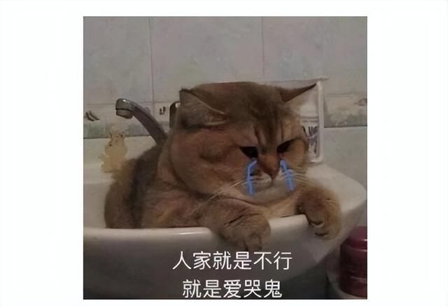 曾经爆火游戏上架Steam，几小时数千差评，玩家：暴雪不配好评！