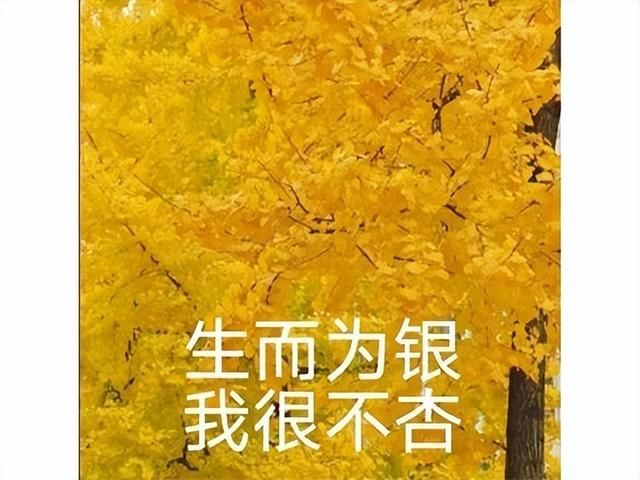 把玩家都给逼疯了！化身变态连美女NPC都不放过，竟只为提升帧数