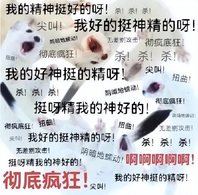 “颠”起来自己都砍！这款MMO端游把老设计推翻，运营十年开新服