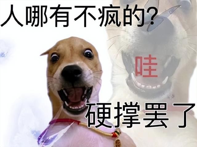 很担心网友的精神状况！6位美女火出圈后，有网友做了个60+版本！
