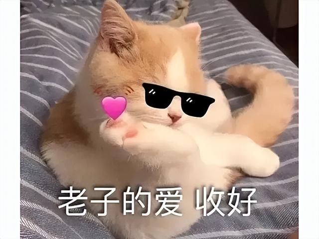 很担心网友的精神状况！6位美女火出圈后，有网友做了个60+版本！