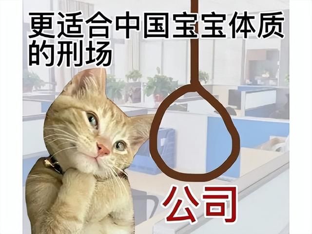 网易放飞自我，逆水寒手游疯狂整活，服务器玩崩了官微也进去了！