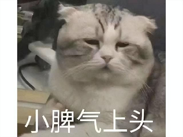 网易放飞自我，逆水寒手游疯狂整活，服务器玩崩了官微也进去了！