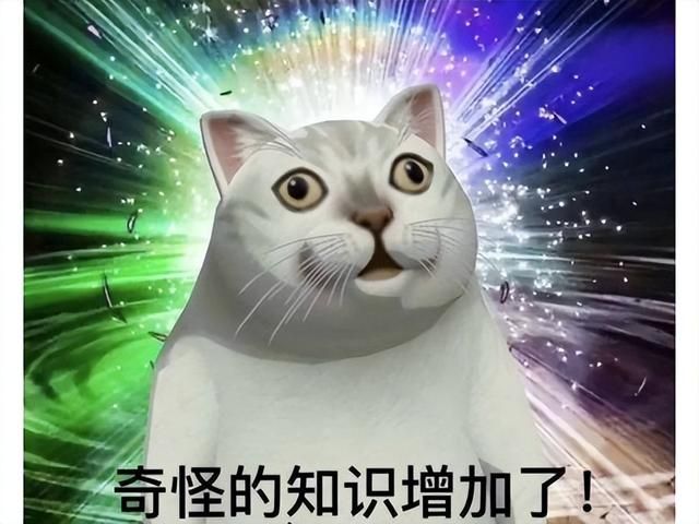 那些年暴雪的神预言！魔兽暴风城的黑暗大主教，居然成了真教皇